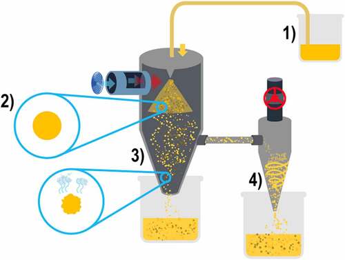 Figure 3. Spray-drying process.