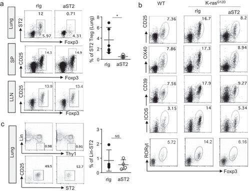 Figure 4. Anti-ST2 antibody is effective in depletion of activated Tregs in lung tumor. (a) Representative flow cytometric analysis of Tregs from lung tumor, SP, and LLN after anti-ST2 antibody treatment. (b) Representative flow cytometric analysis of surface expression of activation markers and RORγt expression of Tregs from tumor lung. (c) Representative flow cytometric analysis of ILC2s from lung tumor. Each dot represents an individual mouse (n = 4–6 mice per group). Error bars represent s.d. from average. rIg; rat IgG