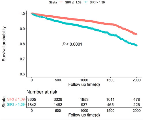 Figure 4. Associations between SIRI and long-term mortality. Solid lines indicate survival probability; shaded areas indicate confidence interval.