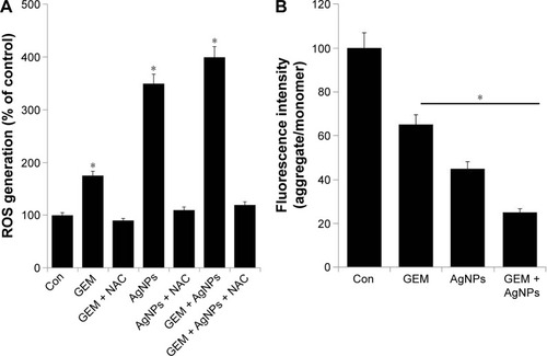 Figure 7 The effect of GEM, AgNPs, or a combination of GEM and AgNPs on oxidative stress in human ovarian cancer cells.Notes: (A) The levels of ROS were assessed by measuring the relative fluorescence of 2′,7′-dichlorofluorescein using a spectrofluorometer. (B) Cells were treated with GEM (50 nM), AgNPs (50 nM), or the combination of GEM (50 nM) and AgNPs (50 nM) for 24 h; MMP (measured as a ratio of JC-1 aggregate to monomer) was determined after the treatments. The results are expressed as the mean ± standard deviation of three independent experiments. Differences between the treated and control groups were measured using Student’s t-test. Statistically significant differences between the treated and control group are indicated by (*P<0.05).Abbreviations: AgNP, silver nanoparticle; Con, control; GEM, gemcitabine; MMP, mitochondrial membrane potential; NAC, N-acetyl cysteine; ROS, reactive oxygen species.