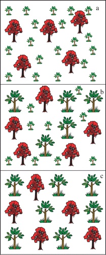 Figure 1.  Schematic representation showing (a) growth suppression of native residents (shown in green color) following invasion of non-native (shown in red color) (Callaway & Aschehoug Citation2000); (b) individuals raised from seeds that survived invasion are resistant to phytotoxic activities of the invader (Callaway et al. Citation2005), and (c) selection of native residents that are resistant to invasion results in co-existence of non-native invasives and native residents.