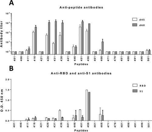 Figure 1. Immunogenicity of short synthetic peptides from RBD and recognition of viral proteins by anti-peptide antibodies. BALB/c mice (n = 3/group) were immunized with individual 15-mer peptides plus the T helper epitope FIS. (A) Sera were obtained at days 45 and 60 and tested against the immunizing peptide. (B) Recognition of RBD and S1 proteins by sera from each group obtained at day 60 was also analysed by ELISA. Results correspond to the mean + SEM values of individual mice.