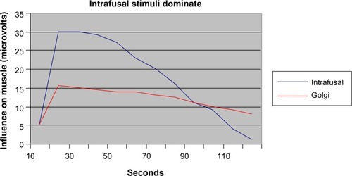 Figure 3 Intrafusal stimuli dominate.