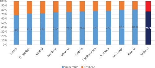 Figure 1. Proportion of vulnerable and resilient rural households between 2012 and 2019 in Zambia. Notes: Own calculations from RALS (2012-2019).