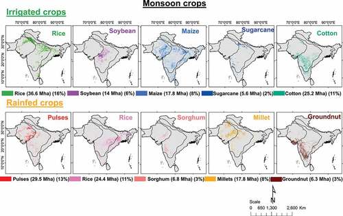 Figure 14. Spatial distribution of crop extent on irrigated and rainfed croplands in South Asia during the kharif (monsoon) season of 2014–15. The mapping was done using MODIS time-series data (Modis Citation2022). The 8 crops named above occupy 184 Mha (80.4% of the net cropped area) during the kharif season.