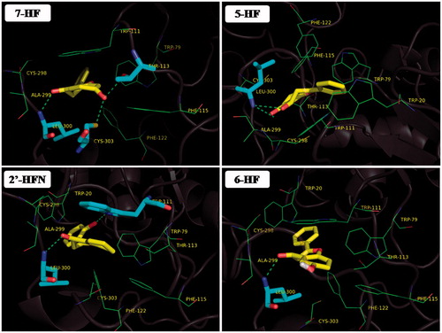 Figure 5. Docking results of promising flavanoids (yellow sticks) in Aldose reductase (cartoon representation). Residues in hydrophobic contacts are depicted in green color lines. Atoms of residues engaging hydrogen bonds (green dotted lines) with flavonoid molecules are shown as cyan sticks.