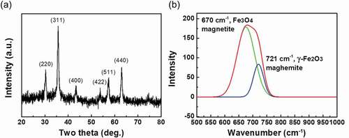 Figure 2. XRD pattern and Raman spectrum of PSS-MNPs. (a) Characteristic peaks in the XRD pattern are located at 30.1°, 35.5°, 43.1°, 53.4°, 57.0° and 62.6° for (220), (311), (400), (422), (511) and (440) planes of Fe3O4 and γ-Fe2O3, respectively. (b) For the characteristics of PSS-MNPs (red line) the Raman spectrum shows two lines at 670 cm−1 (green line) and 721 cm−1 (blue line) for Fe3O4 and γ-Fe2O3, respectively.