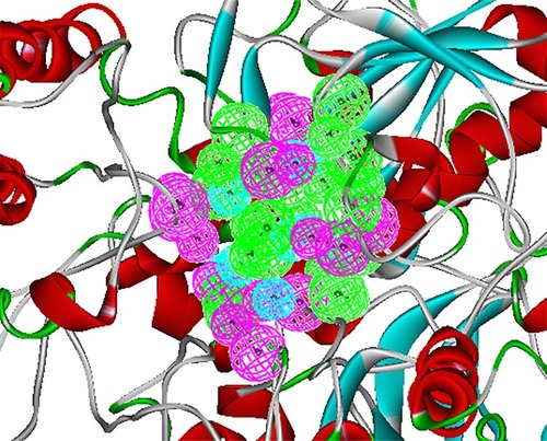 Figure 2 Structure-based pharmacophore model of BioA. This pharmacophore was modeled based on BioA’s active site, showing 9 hydrophobic (cyan), 9 donor (magenta), and 7 acceptor (green) features.