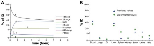 Figure 4 Predicted biodistribution kinetic profiles of poly(lactic-co-glycolic) acid-monomethoxypoly (ethyleneglycol) 495 nanoparticles (A) and comparison of experimental and predicted values of tissue distribution of poly(lactic-co-glycolic) acid-monomethoxypoly (ethyleneglycol) 495 nanoparticles at 3 hours (B).Abbreviations: GI, gastrointestinal tract; ID, initial dose.