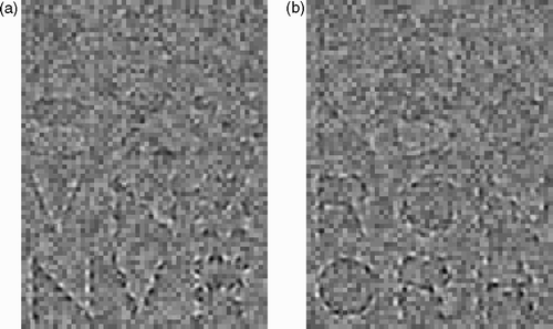 Figure 5. Letters in noise, demonstrating that good continuation is important for letter identification. For each letter chart, starting from the bottom, read up each column as far as you can. The height of the faintest identifiable letter is your contrast sensitivity for such letters. a. The orientation of the gratings relative to the letter stroke alternates ± 0°, ± 30°, or ± 60° (left to right). b. The offset of the gratings from the letters stroke alternates ± 0, ± 2, or ± 4 cycles (left to right). Letter contrast L max–L background) / L background decreases by factors of √2 from 0.87 in the bottom row to 0.11 in the top row. The root mean square noise contrast is 0.15.