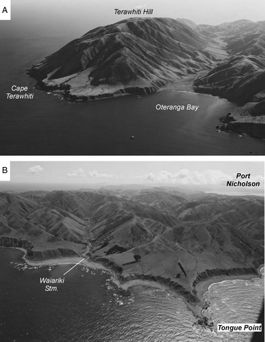 Figure 12  Coastal terraces preserved along the south coast of Wellington Peninsula, and first postulated by Crawford (1869b) as being of marine erosional origin and later, in 1874, as a possible remnant of a fluvial terrace that bordered a Cook Strait River. A, Terawhiti Hill (photo: CN 6921-1 by DL Homer, GNS Science). B, Tongue Point (photo: CN 21396-3 by DL Homer, GNS Science). See Fig. 10 for localities.