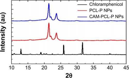 Figure 4 X-ray diffraction spectra of chloramphenicol, PCL-P NPs, and CAM-PCL-P NPs.Abbreviations: CAM-PCL-P NPs, chloramphenicol loaded with poly(ε-caprolactone)-pluronic composite nanoparticles; PCL-P NPs, blank poly(ε-caprolactone)-pluronic composite nanoparticles.
