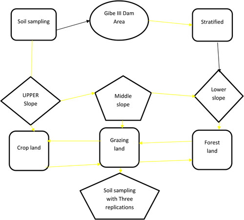 Figure 2. Soil sampling procedure in Gibe III Dam watershed.