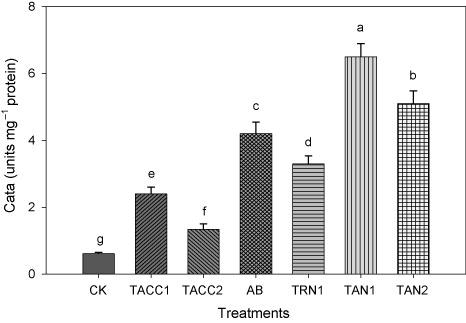 Figure 19. Comparative effectiveness of ACC-deaminase and/or nitrogen-fixing rhizobacteria on catalase activity. Different letters (a–g) on bars indicate significant differences of mean values for seedling fresh weight. Bars represent standard errors.CK, control; AB, Azotobacter