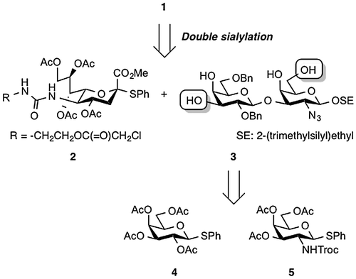 Figure 2. Synthetic scheme for 1 based on a linear synthetic strategy.