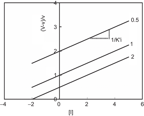 Figure 3.  Quotient velocity plot for uncompetitive inhibition. The lines were drawn in accordance with Equation (5). The following values of parameters were used: Km = 1, K’i = 4, K’m = 0, and Ki = ∞. The substrate concentration is indicated by each line.