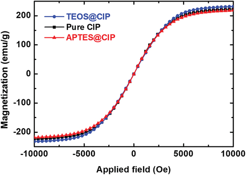 Figure 7. Hysteresis loops of the various CIP types based on the different coatings at room temperature.