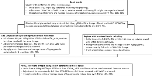 Figure 2 General strategy of insulin therapy in adult outpatients with T2DM.