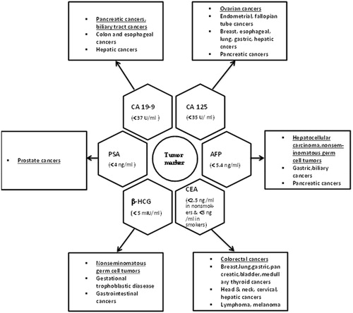 Figure 1. Schematic presentation of various cancers that are associated with elevated tumor markers. Underlined cancers indicate primary tumors and others imply additional associated malignancies. Note: AFP, alpha-fetoprotein; CEA, carcinoembryonic antigen; HCG, human chorionic gonadotropin; PSA, prostate-specific antigen.