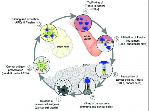 Figure 1. The Cancer-Immunity Cycle. (This figure has been reproduced with permission)