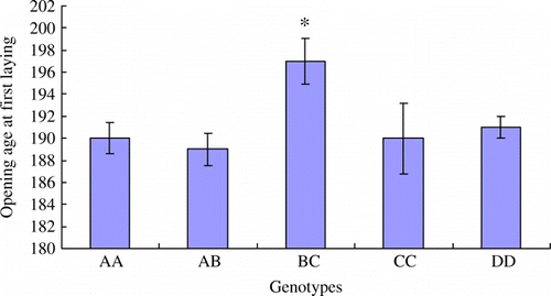 Figure 8.  The opening age(day) of first laying in different genotypes. The data are expressed as Means±SD. Asterisks indicate level of significant differences between different genotypes (*p<0.05).