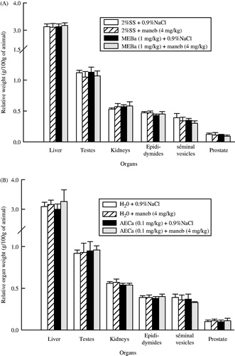 Figure 3. Relative organ weights of male rats following treatment with MEBa (A)/AECa (B) and/or maneb. The first batch of male rats was administered MEBa and/or 2% SS for 30 days (A), while the second batch received AECa and/or distilled water for 60 days (B). Maneb and 0.9% NaCl were administered during the 18 last days of the experiment. Relative body weight of each organ was determined using the formula ((b/B) × 100%: b and B represent the organ weight and animal body weight, respectively). Each data point represents the mean ± SD of five animals.