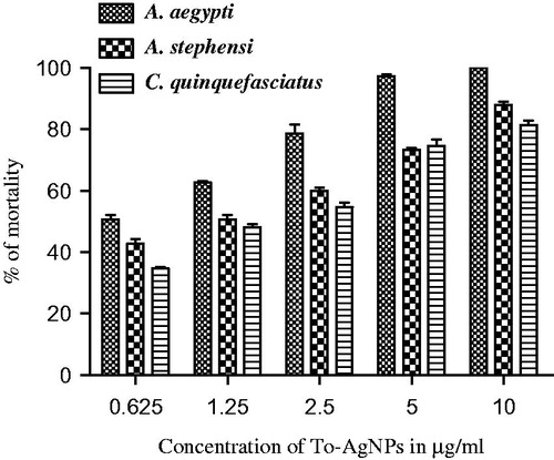 Figure 9. Percentage mortality of A. aegypti, A. stephensi, and C. quinquefasciatus using To-AgNPs.