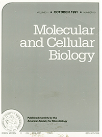 Cover image for Molecular and Cellular Biology, Volume 11, Issue 10, 1991