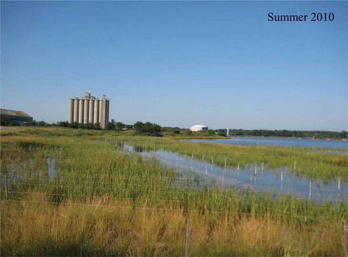 FIGURE 8. Wetlands restoration at Money Point, where Eppinger and Russell facilities operated previously. Credit—Elizabeth River Project.