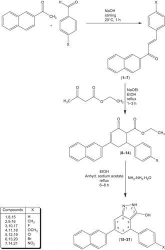 Scheme 1.  Synthetic route for the formation of new ethyl 4-(naphthalen-2-yl)-2-oxo-6-arylcyclohex-3-enecarboxylates 8–14 and 4,5-dihydro-6-(naphthalen-2-yl)-4-aryl-2H-indazol-3-ols 15–21.