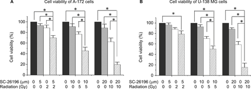 Figure S2 The D6D inhibitor sensitized A172 and U-138 MG cells to radiation.Notes: (A) MTS assay of A172 cells treated with vehicle control, SC-26196, radiation, or their combination at the indicated doses. (B) MTS assay of U-138 MG cells treated with vehicle control, SC-26196, radiation, or their combination at the indicated doses. All quantification data are represented as the mean ± SD of at least three separate experiments. The data in the control treatment group were normalized to 100%. *A significant difference with P<0.05.Abbreviation: D6D, delta-6-desaturase.