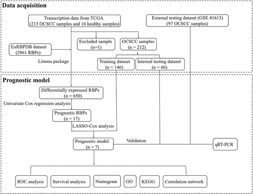 Figure 1. Flow chart for analyzing RBPs in OCSCC