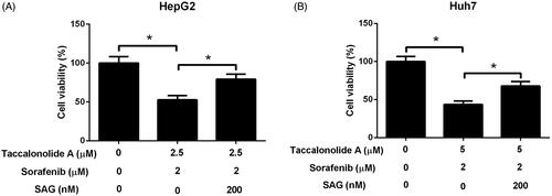 Figure 7. Activation of Shh pathway abrogated the promotion of taccalonolide A on sorafenib cytotoxicity in HCC cells. (A,B) HepG2 cells were treated with 2.5 μM taccalonolide A and 2 μM sorafenib and Huh7 cells were treated with 5 μM taccalonolide A and 2 μM sorafenib in the presence or absence of 200 nM SAG for 48 h. Cell viability was evaluated by CCK-8 assay. *p < .05. All experiments were repeated three times in triplicate. Significance was analysed using one-way ANOVA.