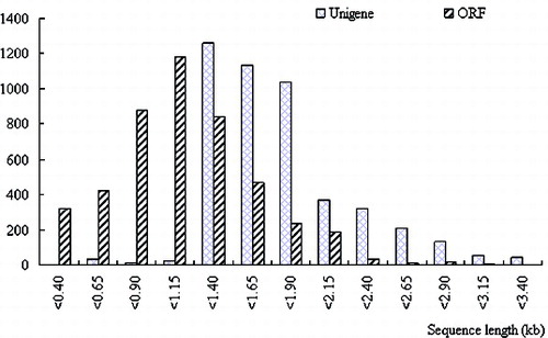 Figure 2. Length distributions of unigenes and ORFs. Data obtained from a total of 4608 full-length sequences.