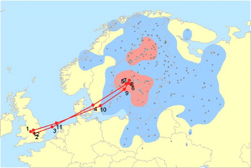 Figure 4. Movements of Tufted Ducks Aythya fuligula between the Baltic region and Britain and Ireland as shown by the Migration Mapping Tool. Coloured kernels indicate the main concentrations of recoveries (50% of all recoveries in red, 95% in blue). The average migration route is shown by a line with numbers indicating the average location in each month. This is one of nine flyways identified for Tufted Ducks occurring in Britain and Ireland. From Atkinson et al (Citation2007).