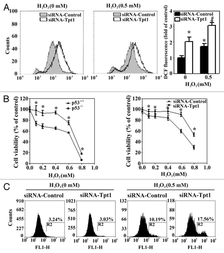 Figure 3. Tpt1 is required for maintaining cellular redox balance and cell survival in response to H2O2. (A) Suppression of Tpt1 expression increases the level of ROS. HCT116-p53+/+ cells were transfected with siRNA-Tpt1 or siRNA-control. At 48 h post-transfection cells were either left untreated or treated with H2O2 for 24 h, intracellular ROS levels were measured by DCF fluorescence dye/flow cytometry. (B) Suppression of Tpt1 expression decreases cell viability in response to H2O2. HCT116-p53+/+, HCT116-p53−/−, HCT116-p53+/+ transfected with siRNA-control or siRNA-Tpt1 were treated with the indicated doses of H2O2 for 48 h. Cell viability was measured by MTT assay at 72 h post-transfection. (C) Suppression of Tpt1 expression enhances apoptotic cell death. HCT116-p53+/+ cells transfected with siRNA-control or siRNA-Tpt1 were either left untreated or treated with 0.5 mM H2O2 for 24 h. Apoptotic cells were measured using Annexin V-FITC/flow cytometry at 72 h post-transfection.