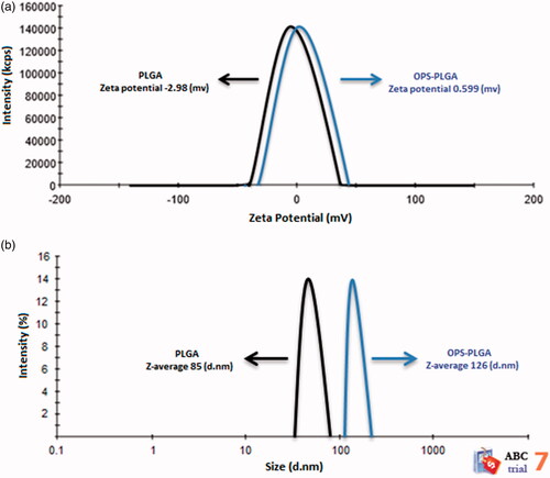 Figure 2. (a) Zeta potential of PLGA nanoparticle and PLGA-OPS conjugate. (b) Size distribution PLGA nanoparticles and OPS–PLGA conjugate.