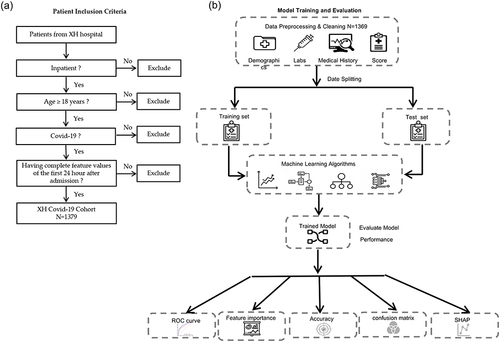 Figure 1 (a) Flowchart showing the exclusion and enrolment of COVID- 19 patients; (b) Flowchart of model development and performance by machine learning method. XH hospital: Xinhua Hospital Affiliated to Shanghai Jiao Tong University.