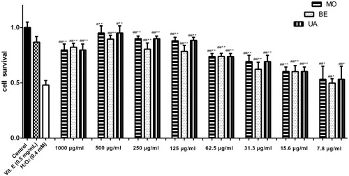 Figure 4. Protective effect of betulin (BE), ursolic acid (UA) and monotropein (MO), isolated from Pyrola decorate, on H2O2-induced cytotoxicity in cultured PC12 cells (means ± SD, n = 5). The data (cell viability, measured by MTT assay) were normalized and expressed as a percentage of the control group, which was set to 100%. Results were calculated from three independent experiments and are shown as mean ± SD. Compared with blank control group, #p < 0.05, ##p < 0.01; compared with H2O2 model group, *p < 0.05, **p < 0.01.