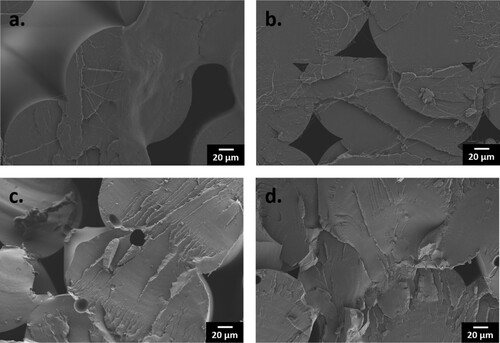 Figure 16. Fractured surfaces of the samples printed with 0° rasters: (a) PLA; (b) 1ST (0.5); (c) 3M (4.0); and (d) 5S (3.8). Scale bar: 20 µm for all micrographs.