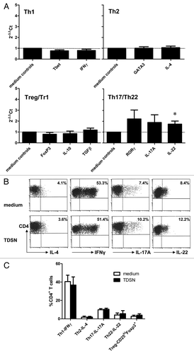 Figure 4. Broad Th subset-inducing capacity of skin-emigrated DC i.d. modulated by primary colon tumor derived supernatants (TDSN). Colon TDSN were i.d. injected at 50% (v/v) prior to explant culture, while 3% (v/v) was added to the culture media of the explant cultures. Skin explants were removed at day 2 of culture, after which migrated DC were immediately harvested and loaded with anti-CD3 and co-cultured for 14 d with CD4+CD25- T-cells. (A) After 14 d the Th cells were restimulated with immobilized anti-CD3 and anti-CD28 for 24h after which mRNA was isolated and the indicated transcript levels were determined by qRT-PCR: values relative to medium controls, n = 3. (B and C) Alternatively 14 d-primed Th cells were restimulated with PMA/ionomycin for 4h after which intracellular cytokine production levels or FoxP3 expression in relation to high CD25 levels (i.e., Tregs) were assessed; representative results (B) and averaged data ± sem (C) are shown of 3 separate experiments; *P < 0.05.