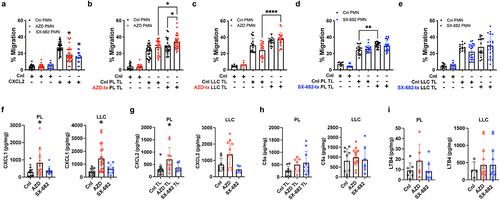 Figure 2. CXCR1/2 antagonism does not confer a loss of neutrophil chemotactic capacities of tumors. Following a 4-d treatment period (black = control, red = AZD, and blue = SX-682), thioglycolate-induced neutrophils (>85% pure) were isolated from the peritoneum exudates and used in the modified Boyden chamber chemotaxis assay. The chemotactic capacities of the indicated neutrophils were assessed toward the gradients by (A) CXCL2 (50 ng/mL), (B and C) AZD-treated PL and LLC tumor lysates, and (D-E) SX-682-treated PL and LLC tumor lysates. Each closed circle represents an experimental replicate from three separate biological replicates with the indicated tumor lysates (1 mg/mL) prepared from at least three different mice. The mean percentages of migrated neutrophil over total seeded cells ± s.d. Are shown. (F-I) CXCL1, CXCL2, C5a, and LTB4 contents in whole tumor lysates of the indicated tumor model and treatment were measured by ELISA and expressed as pg/mg of total protein loaded. Each open circle represents a lysate of the tumor bearing lung of mouse that were treated with vehicle control, AZD, or SX-682 for 2 weeks. The graphs show the mean ± s.d., and ordinary one-way ANOVA with Tukey’s post hoc test (*p < 0.05) was used for the statistical analysis.