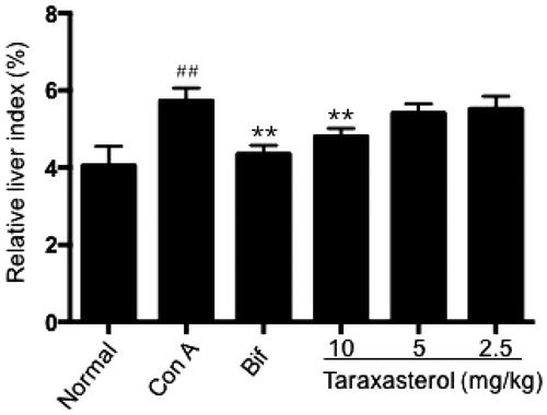 Figure 2. Effect of taraxasterol on liver index in Con A-induced acute hepatic injury. The mice were treated with taraxasterol (10, 5 and 2.5 mg/kg, respectively) or Bif and injected a single dose of Con A. The hepatic tissues were removed and weighed; the liver index was calculated. The values are expressed as the means ± SEMs. ##p < .01 vs. normal group; **p < .01 vs. Con A group.