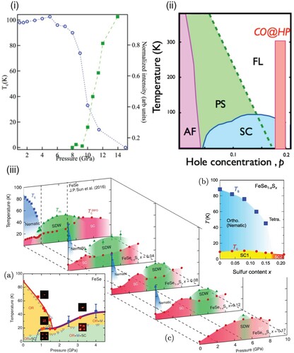 Figure 14. Phase diagrams of (i) TC and normalized intensity of the superstructure spots as a function of pressure in Hg-1201 [Citation303], (ii) T plotted against hole concentration in Hg-1201 with hole concentration for (i) marked by the vertical rectangle and various phase regions [Citation303], (iii) T plotted against pressure in FeSe1−xSx [Citation304] with various phase regions: SDW (see Figure 13(i)), Tetra (tetragonal), Ortho (orthorhombic), M (magnetic), Nematic (no magnetic long-range), and SC (superconducting).