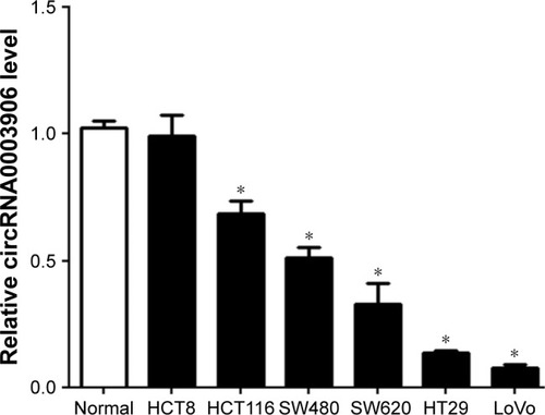 Figure 1 Relative circRNA0003906 expression in CRC cell lines.