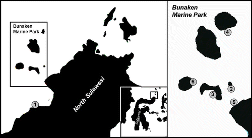 Figure 1 Map of localities and occurrences of Pseudocirrhipathes mapia in the Marine Park of Bunaken. 1, Mapia (type locality) (Coast of Manado); 2, Onong (Siladen Island); 3, Likuan 3 (Bunaken Island); 4, Nain (Nain Island); 5, Wreck of Manado (Coast of Manado); 6, Raymond's Point (Manado Tua Island).