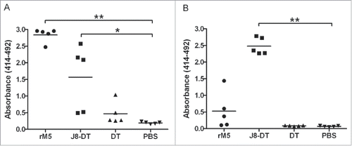 Figure 4. Antibody responses to rM5 and J8-peptide in immunized Lewis rats. IgG antibody reactivity of serum from Lewis rats immunized with rM5 (•), J8-DT (▪), DT (▴) or PBS (negative control) (▾), to rM5 (A) or J8-peptide (B). All rats received a primary immunization on day 0, followed by an intraperitoneal injection of B. pertussis on day 1 and 3. A booster was administered on day 7. Absorbance values of rat sera at 1:100 dilution are shown, with mean absorbance value presented as horizontal lines. Significance was determined by ANOVA with the post hoc Dunnet's test (*, P < 0.01; **, P < 0.001). Lewis rats were purchased from The Animal Resource Centre, Western Australia.