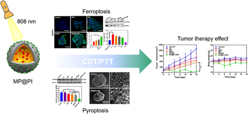 Figure 6 Schematic diagram of the MP@PI synthesis strategy and characterization of the bimodal MOF system with chemical power-photothermal effect. Reprinted with permission from Deng H, Zhang J, Yang Y, et al. Chemodynamic and photothermal combination therapy based on dual-modified metal-organic framework for inducing tumor ferroptosis/pyroptosis. ACS Appl Mater Inter. 2022;14(21):24089–24101. Copyright 2022 American Chemical Society.Citation131