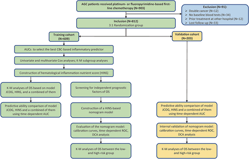 Figure 1 Study design and the flowchart of patient selection.