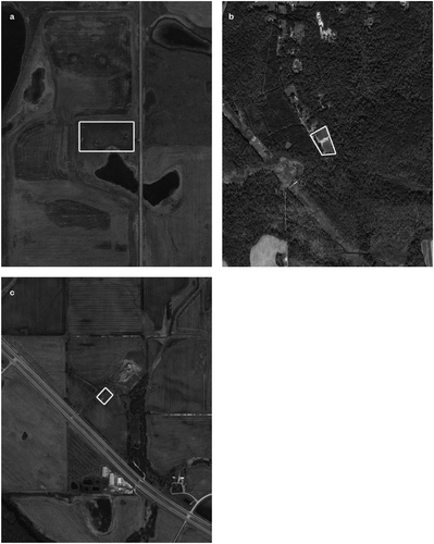 Figure 6. a-c. Satellite aerial views of select patch cemeteries in the Belt. These cemeteries are far removed from urban areas and isolated in rural locales, from farmland plots to wooded areas. They likely require investment in basic infrastructure and resources like water. Images courtesy Samiha Meem.